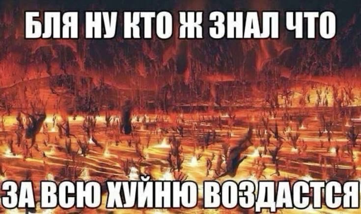 gemi_softy's tweet image. 