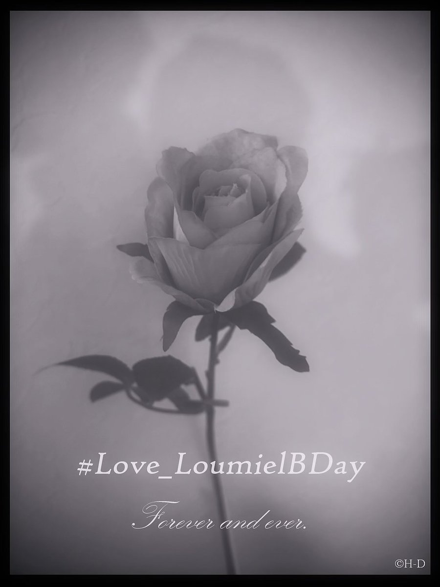 11/19
Loumiel's Birthday 
愛しい光、ルミエルの命名日

#Love_LoumielBDay🦋
#LouloudiFandom