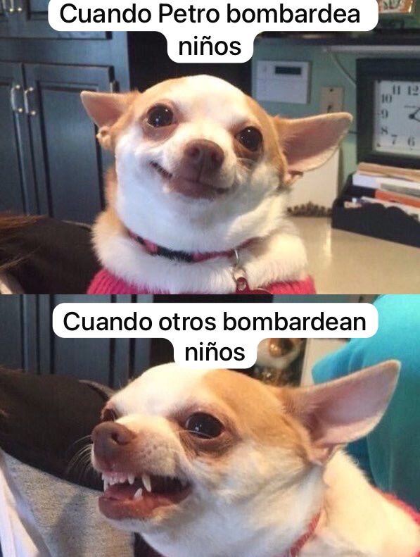 LuigiParraF's tweet image. El petrismo estos días