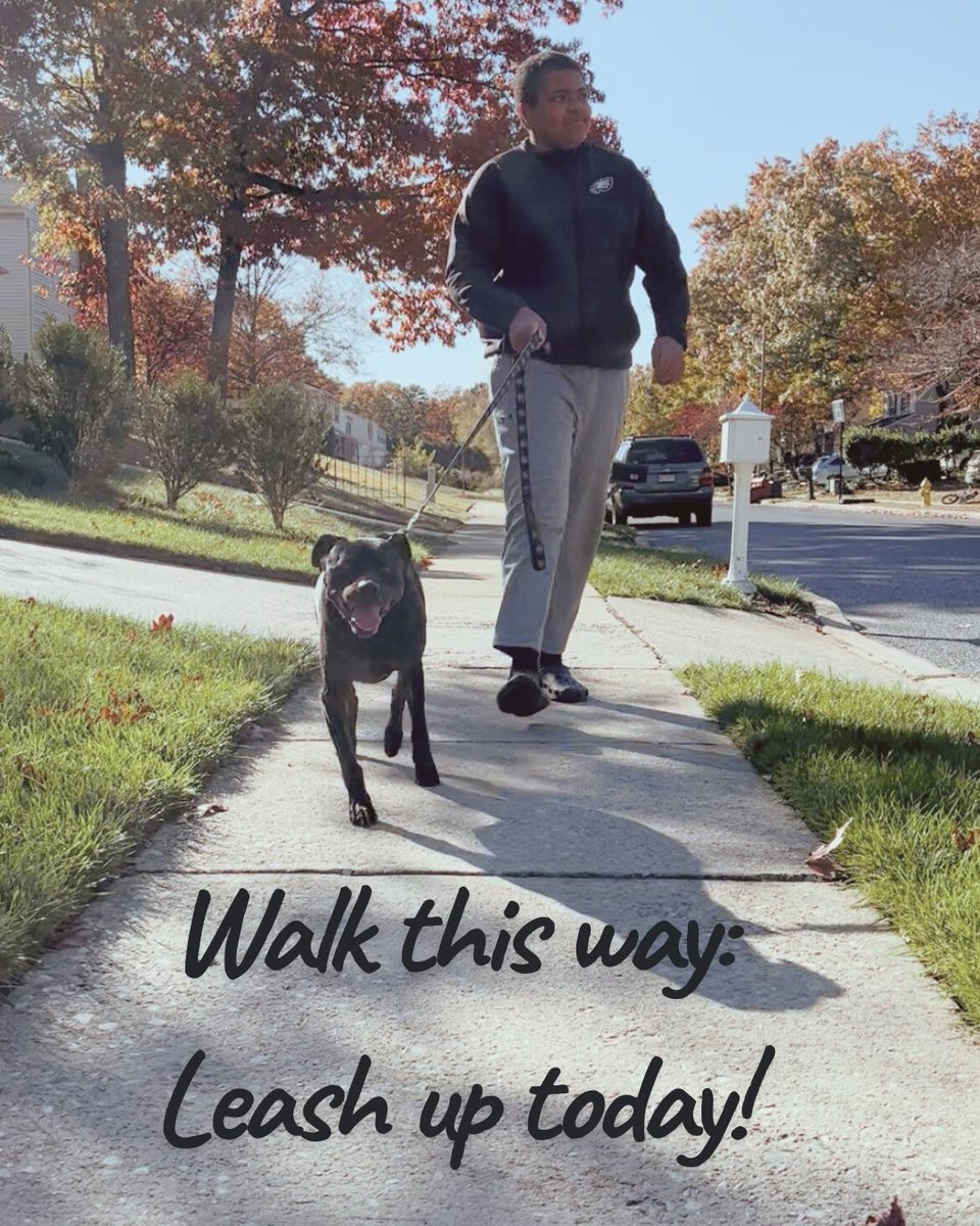 Did you know? In Moorestown, it’s the law to keep your dog on a leash when out and about in public spaces!  Your pup needs to be under control on streets, roads, and even other people’s properties. 📷 Let’s keep our community safe, dogs happy, and walks enjoyable for everyone!