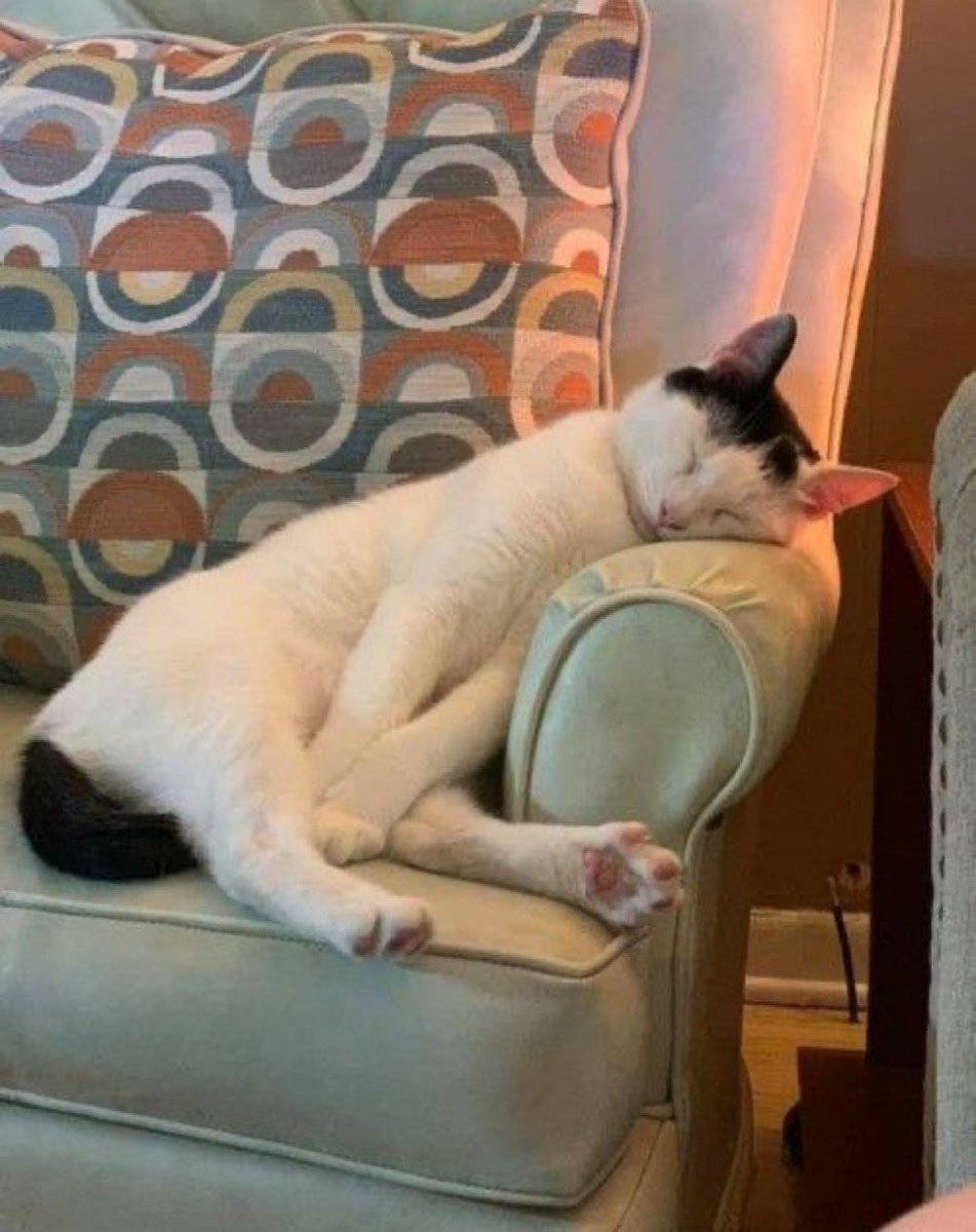 crypto is down.

x is down.

my bags are down.

i’m feeling down.

is it really over?💔🥲