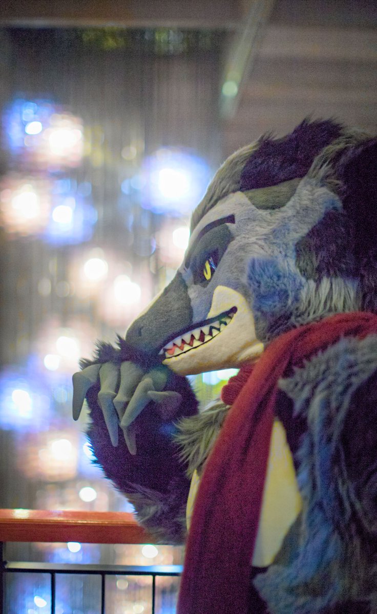 It’s getting chilly

#FursuitEverday
📸 #c2ex