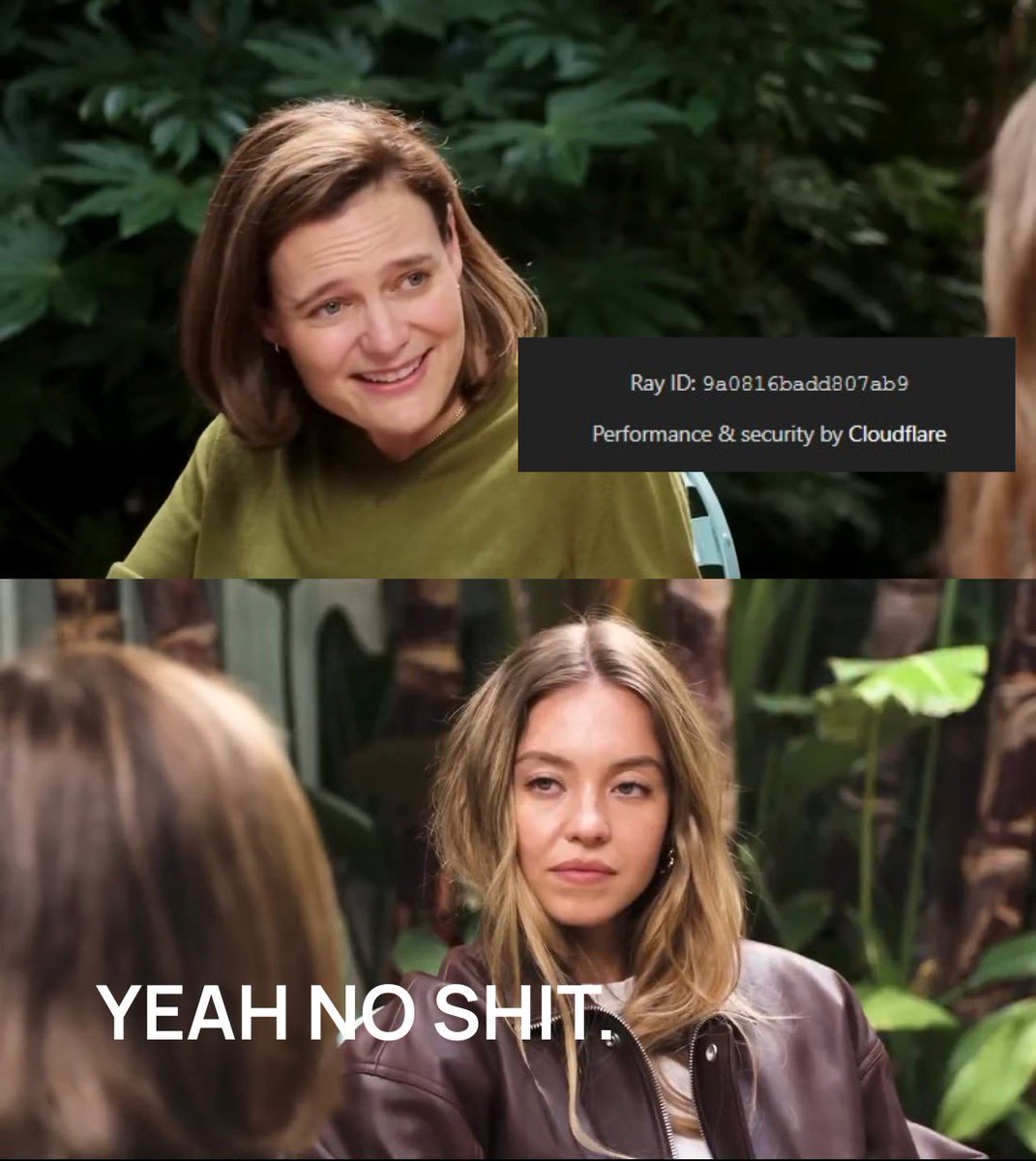 zmrishh's tweet image. no shi