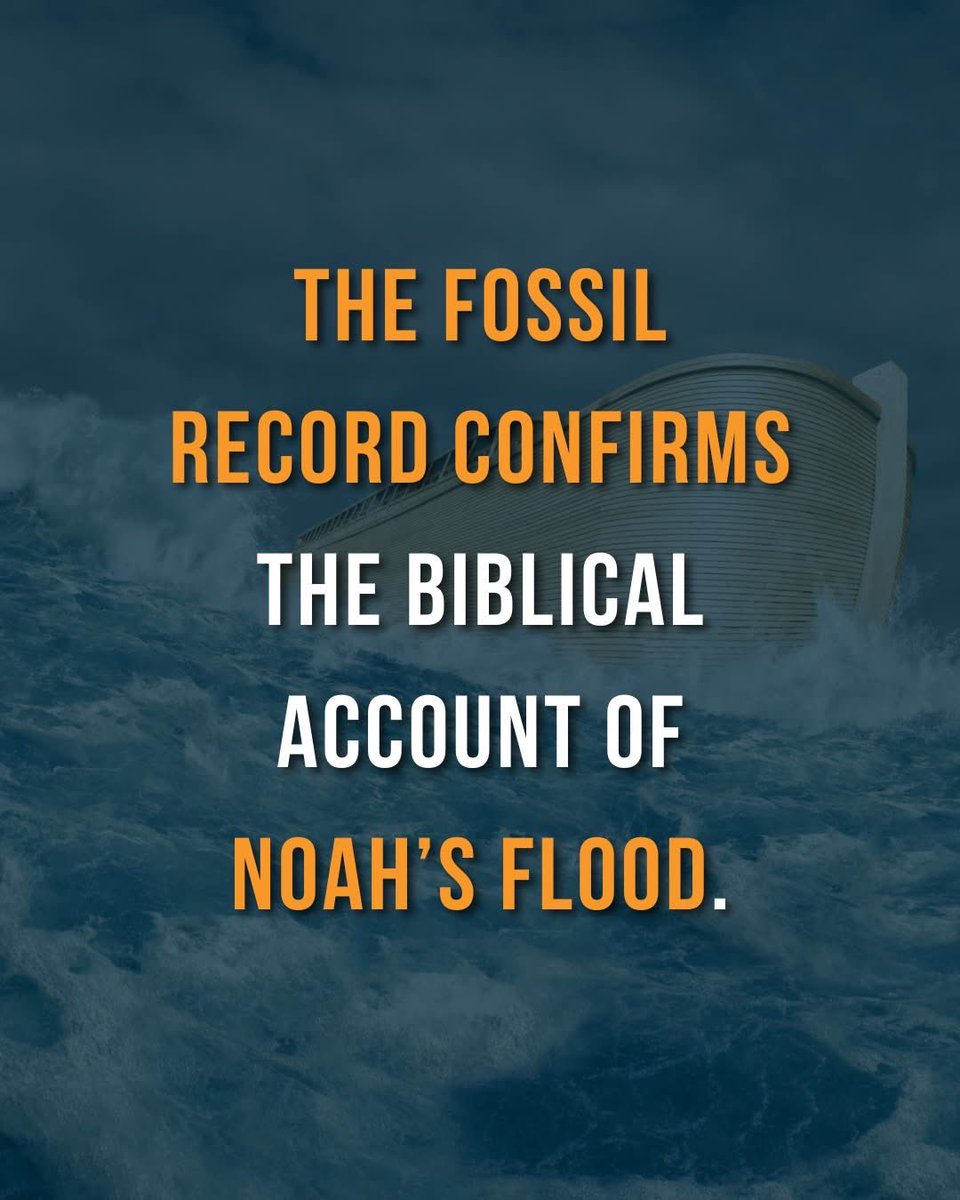 NotEvolution1's tweet image. If there really was a global flood, like the Bible says, we should find billions of dead things, buried in rock layers, laid down by water, all over the Earth. And that’s exactly what we find!