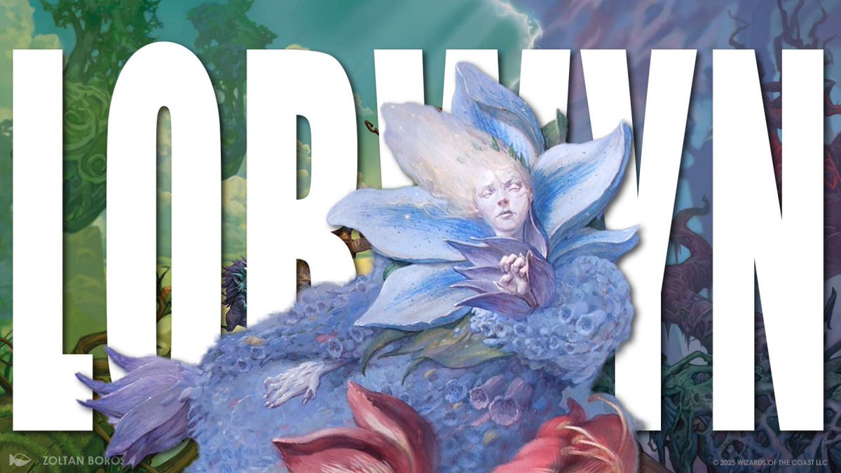 Il Bazaar di via Latta tweet media