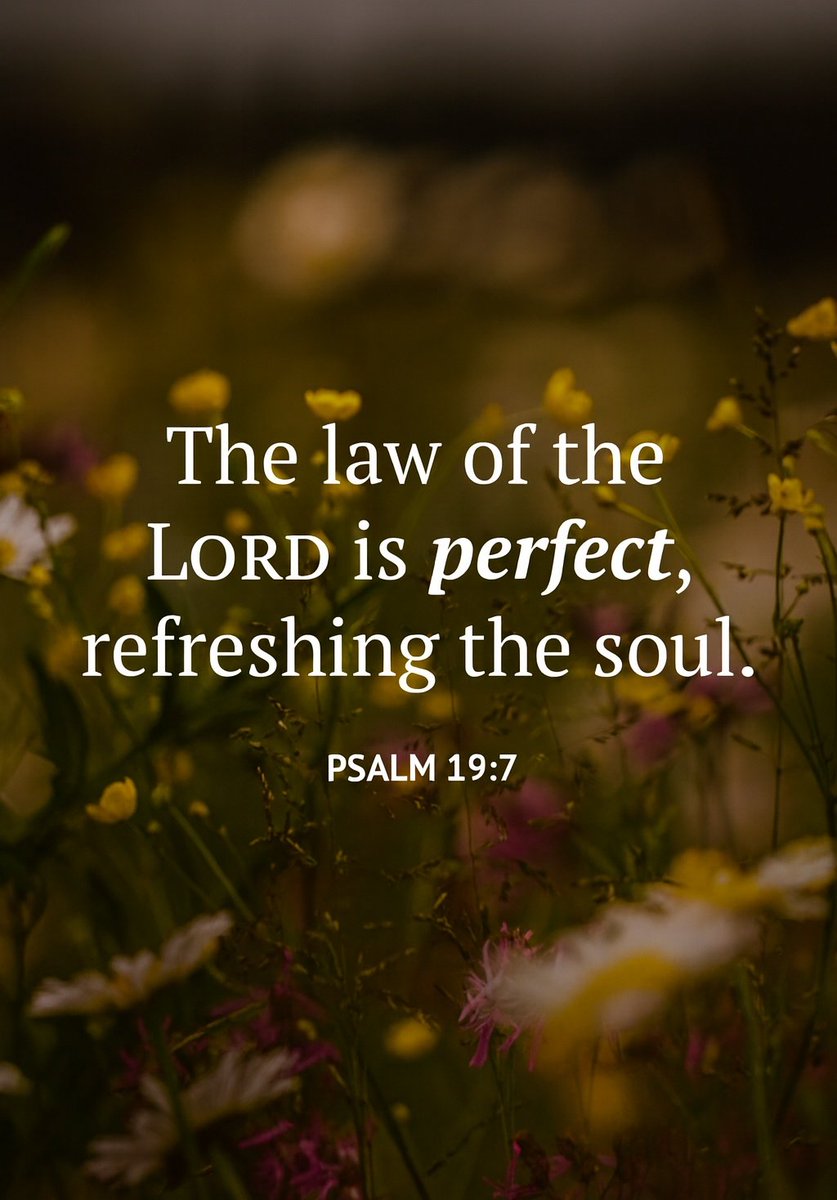 The__Bible7's tweet photo. Psalm 19:7 https://t.co/eG5KewboEj