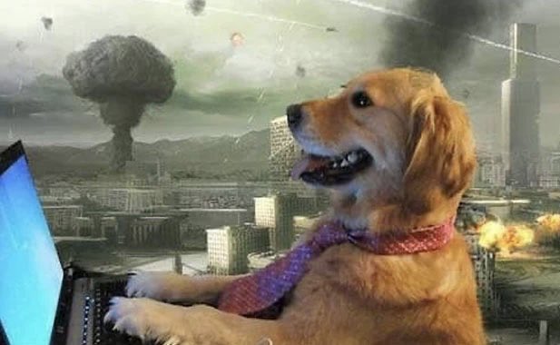 Cloudflare goes down.

Social media managers everywhere: