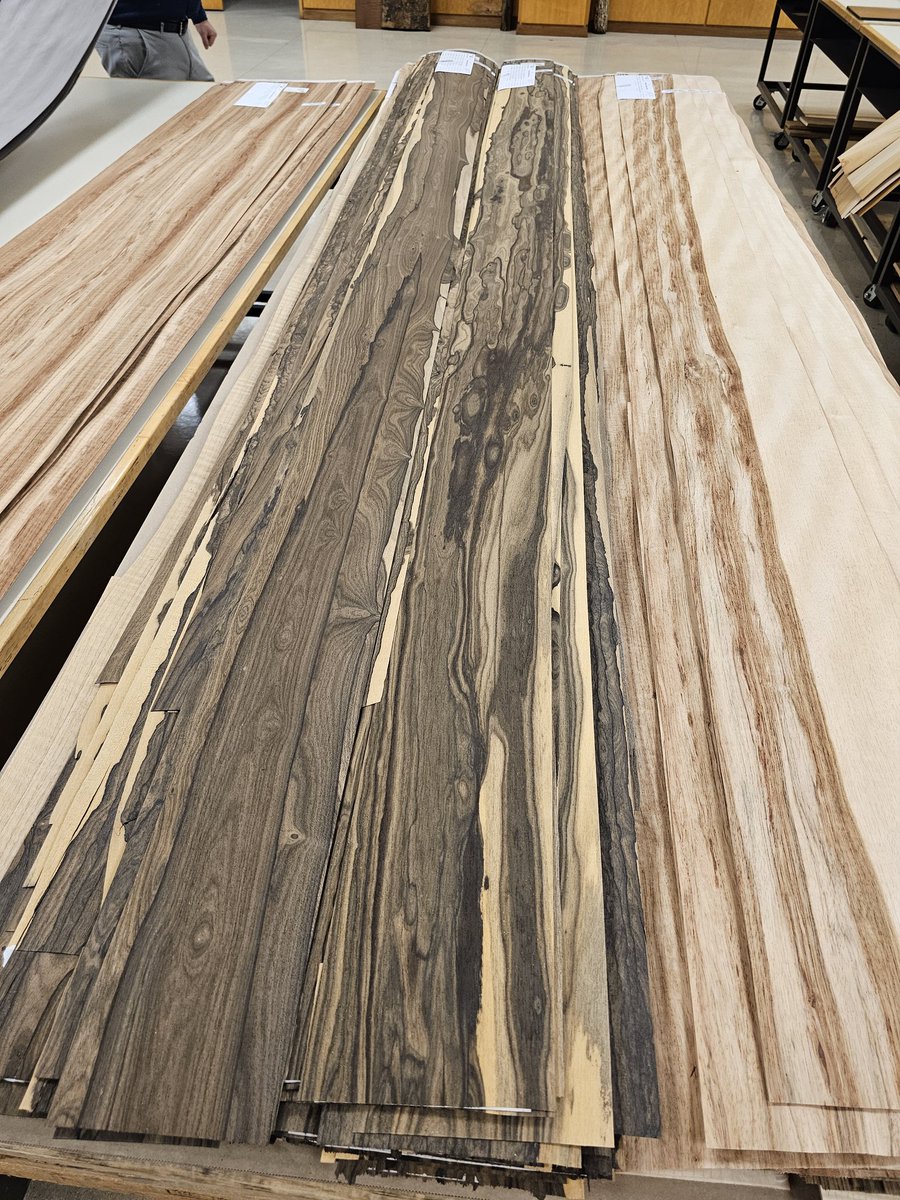 mbohlkecorp's tweet image. Newly priced architectural veneer, showstoppers. 🌳 Ziricote, Circassian Walnut; trio: Afrormosia, Lacewood, European Sycamore. #architecturaldesign #woodveneers #woodveneer #wood #millwork #beautiful