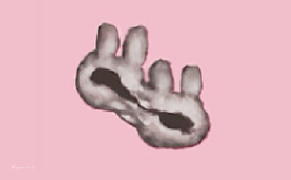 ﾑた。 tweet media