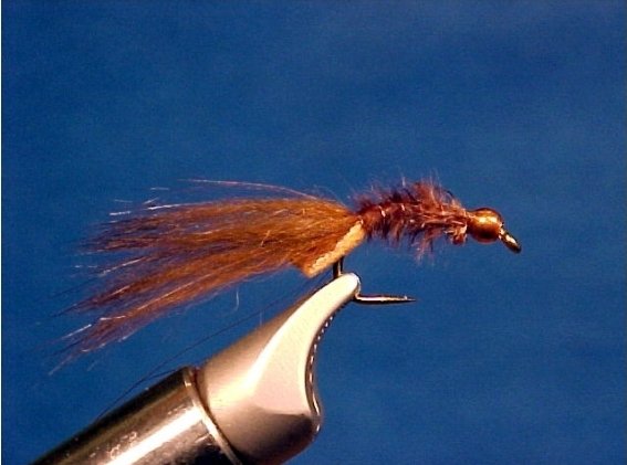 dougbwright's tweet image. Tying the Glenn&apos;s Leech.
Deadly leechh pattern and my go-to for stillwater trout fishing.

ospreyflyfishers.com/patterns/Glenn…

#flyfishing #flytying #troutfishing #troutflies #fishing