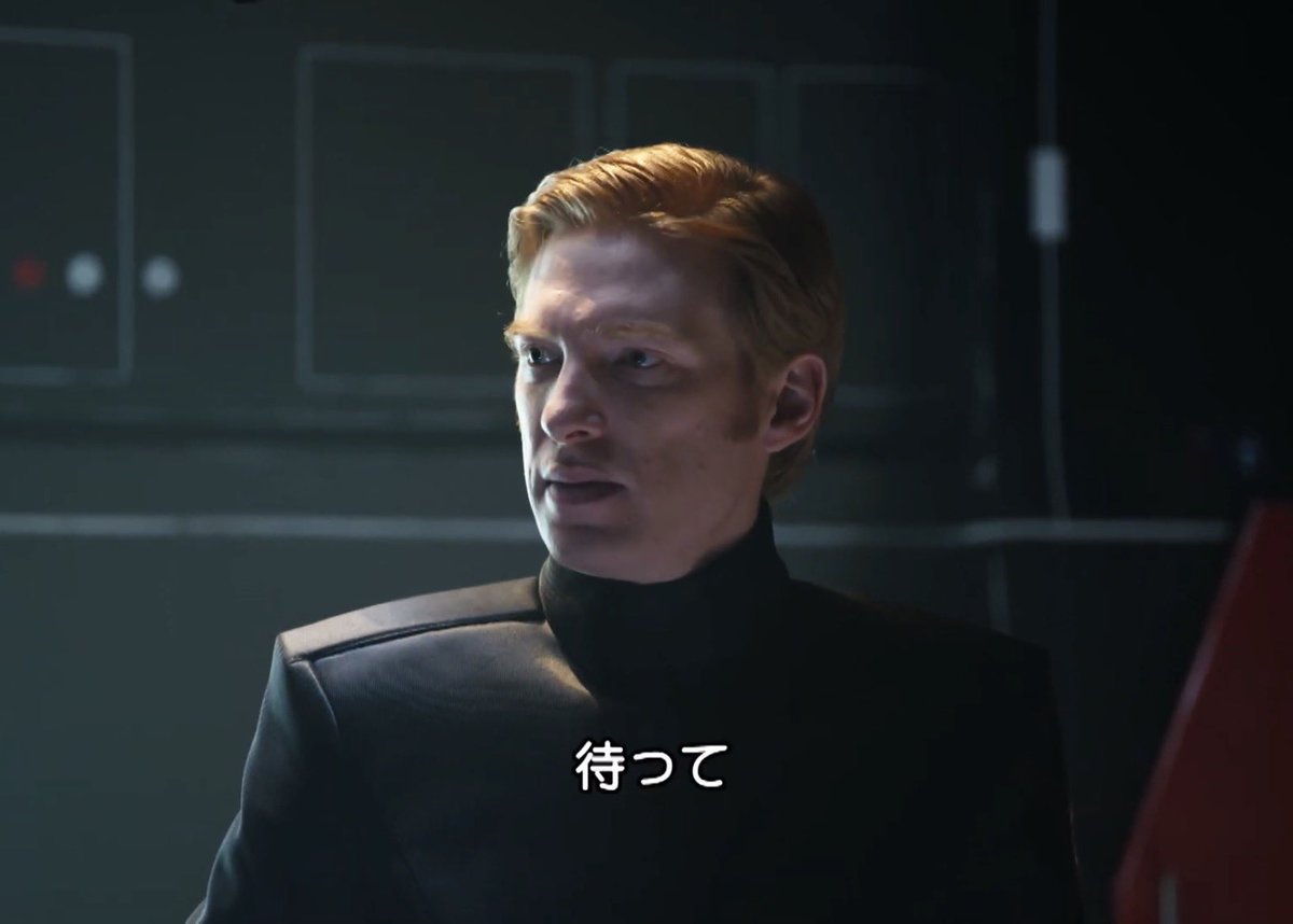 manmixxx1様✶⋆確認専用ページ バースデーガーランド（ネーム含む） manmixxx1様✶⋆確認専用ページ バースデーガーランド（ネーム含む