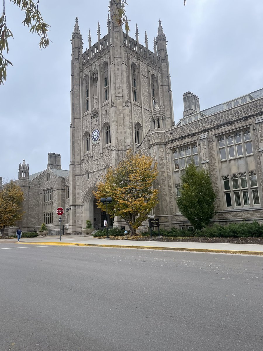 rich_big_dong's tweet image. ‼️ POST WORKOUT RECAP ‼️ 

Pull day 8.69/10
Jasmine(aka wife) was there ❤️ 
Girls talked to- 0️⃣ 
Stared at &amp;gt;9 chicks
Pump- 8.83/10
Entire body hurts- hot white chicks please cure me 

#views #gains #Grinder #advil #steroids