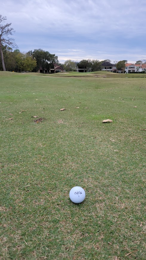 Gm 
Golf morning ⛳️