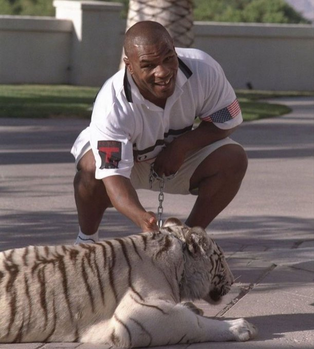 vivereveritas's tweet image. 📌 BECOME PRONOID

Pronoia describes a state of mind that is the opposite of paranoia.

Whereas a person suffering from paranoia feels that persons or entities are conspiring against them, a person experiencing pronoia believes that the world around them conspires to do them…