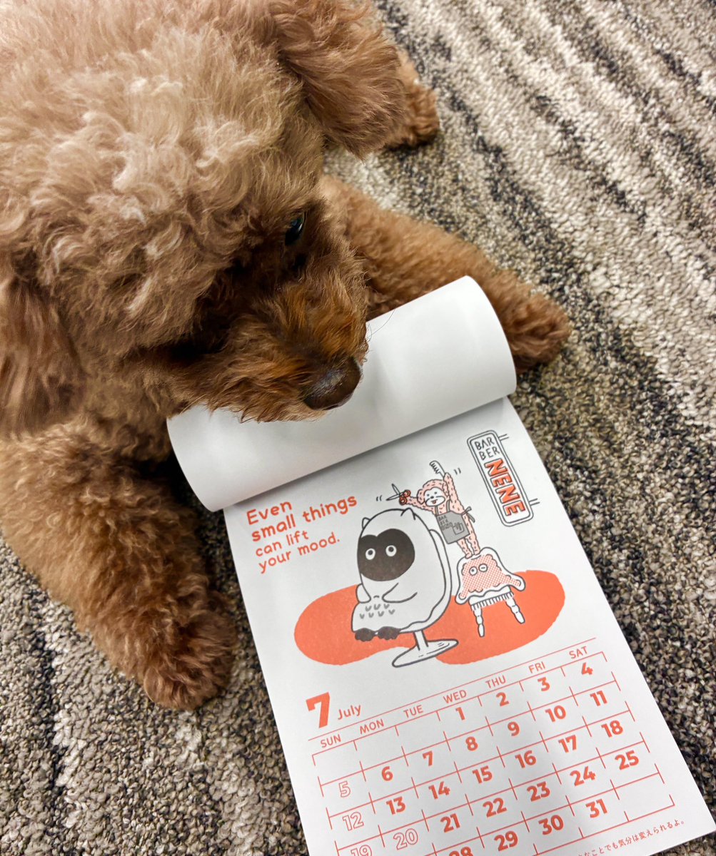 キューちゃん (@CUEchanOFFICIAL) / Posts / X