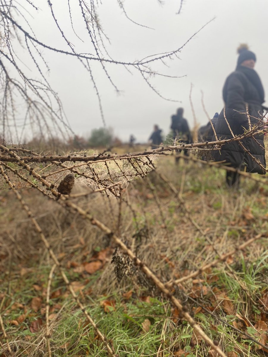AddiewellPS's tweet image. P4 enjoyed an outdoor morning in preparation for Christmas crafting 💗