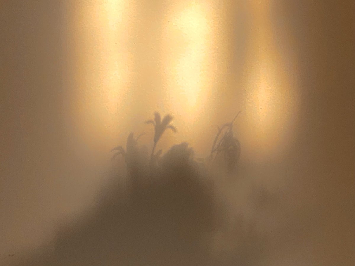 mansebanjaran's tweet image. moments of peace