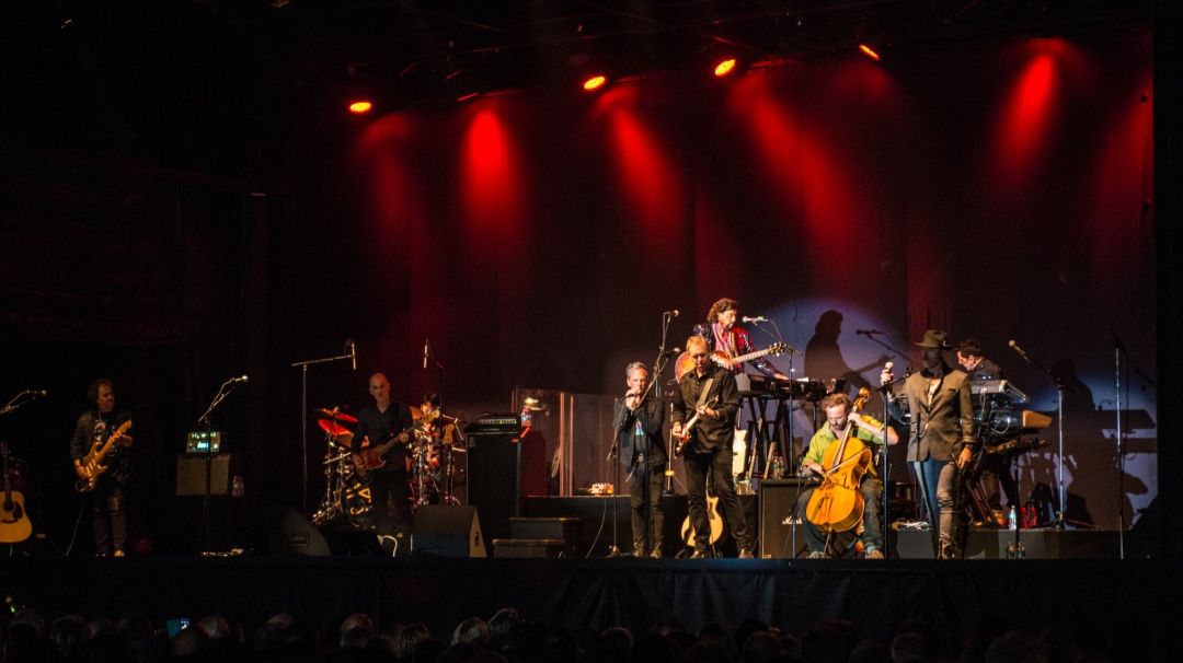 Avilared tweet media