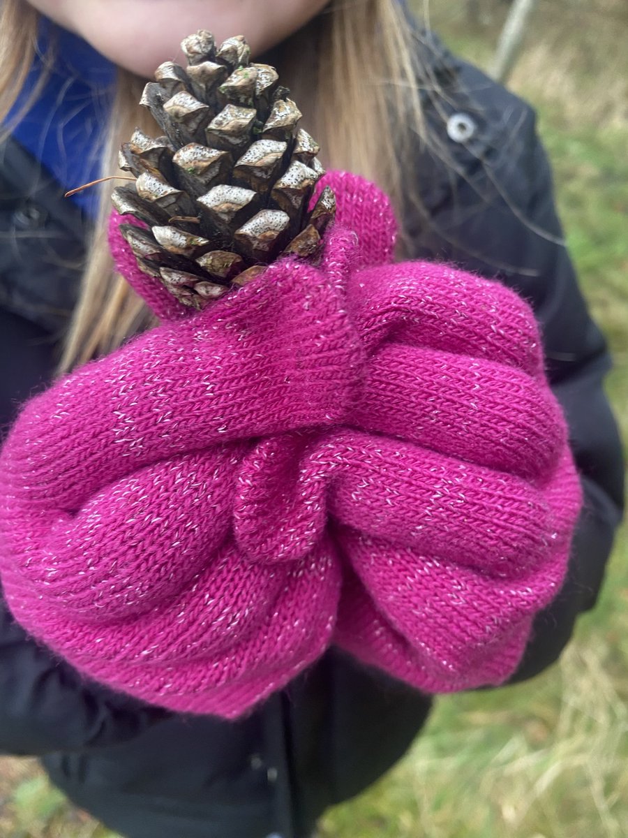 AddiewellPS's tweet image. P4 enjoyed an outdoor morning in preparation for Christmas crafting 💗