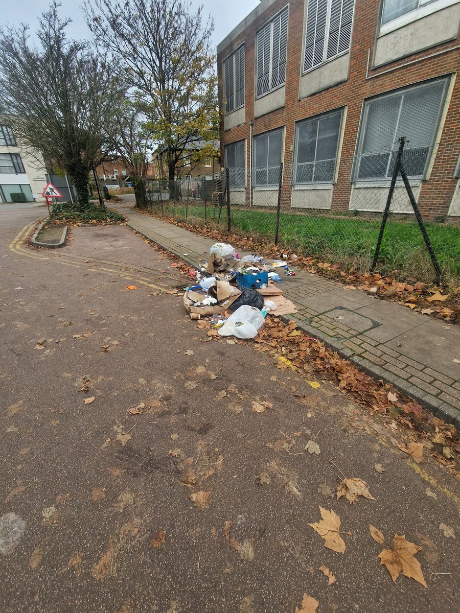 Ghost of Goose tweet media