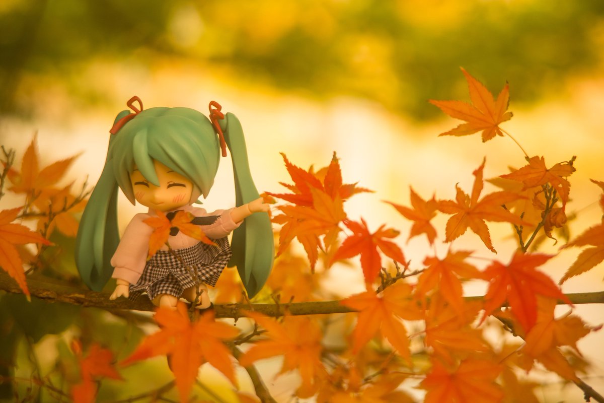 たま (@tama4089) / Posts / X