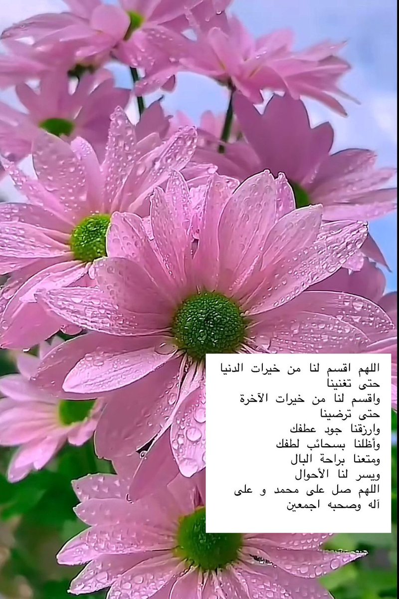 salima a (@slimaa5) on Twitter photo 
