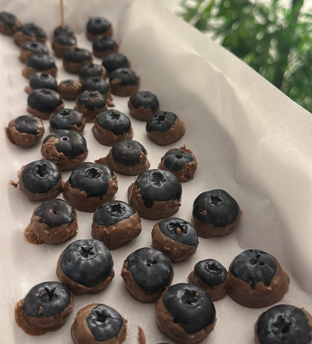 سيد الملاح tweet media