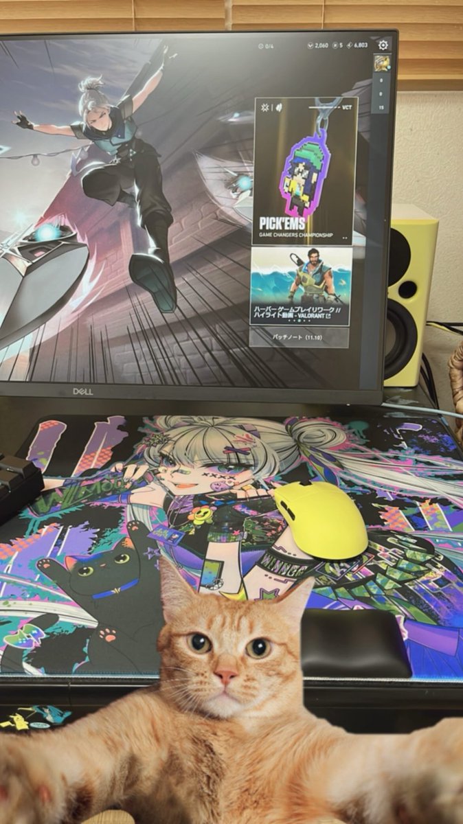 ghosthackaov's tweet image. 全然上手くならんが