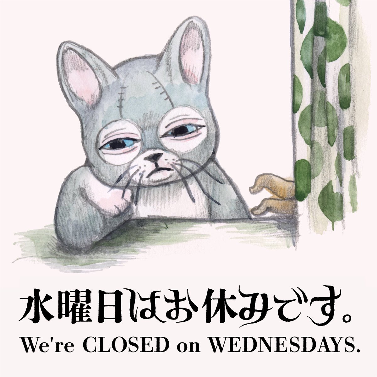 saori🐨🐟💙 (@inlovewithdoala) / Posts / X