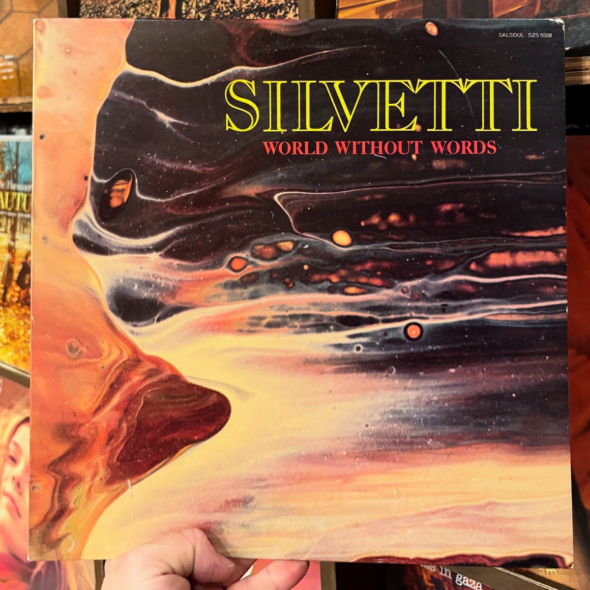 シルベッティ スプリングレイン 電気グルーヴ シャングリラ 元ネタ 12