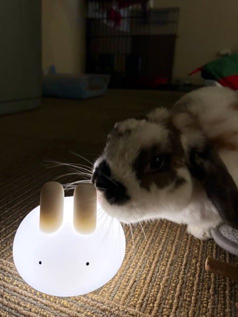 gaming disorder pawg tweet media