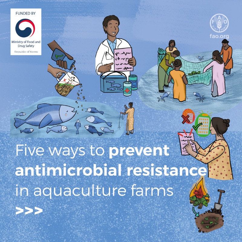FAOWHOCodex's tweet photo. 📝 | Let’s protect our farms, food and future.

👉 This #WAAW2025, discover 5⃣ ways aquaculture farmers can prevent #AntimicrobialResistance and keep animals, people, and the planet healthy.