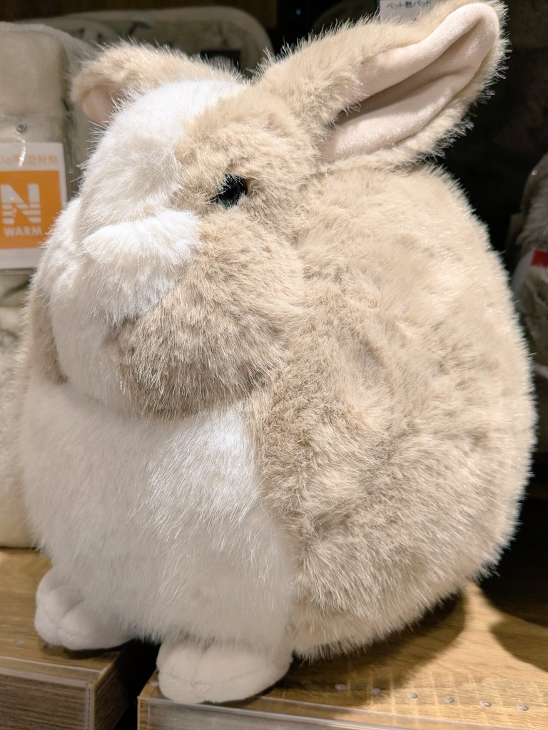 たんぽぽさん専用 ゆたんぽぽ (@27Bp23) / Posts / X