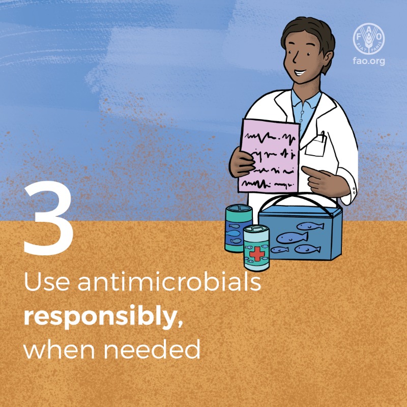FAOWHOCodex's tweet photo. 📝 | Let’s protect our farms, food and future.

👉 This #WAAW2025, discover 5⃣ ways aquaculture farmers can prevent #AntimicrobialResistance and keep animals, people, and the planet healthy.