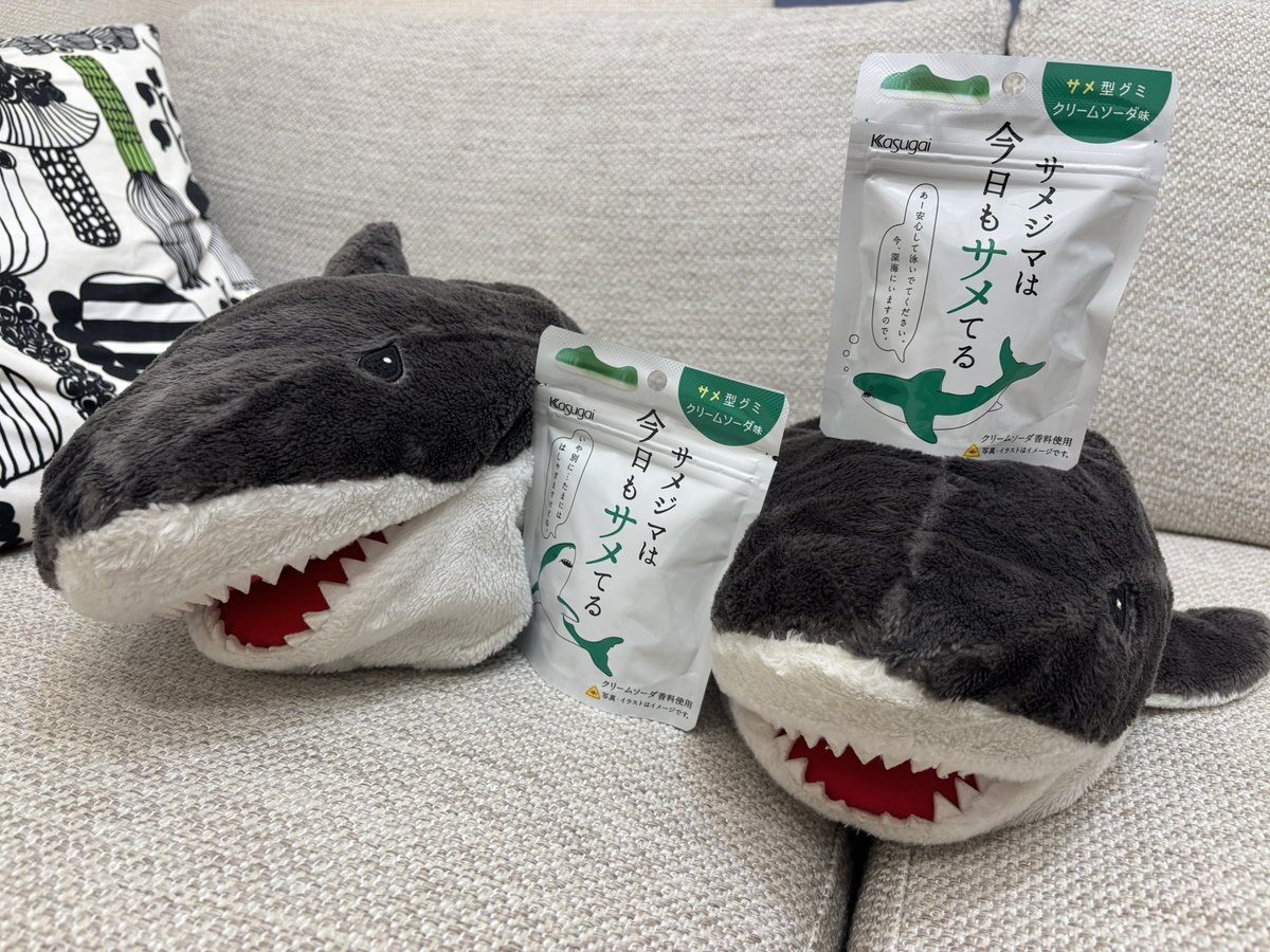 same4bros's tweet photo. 今年もサメグミゲットだぜ！🦈 https://t.co/mY3DroKcWX
