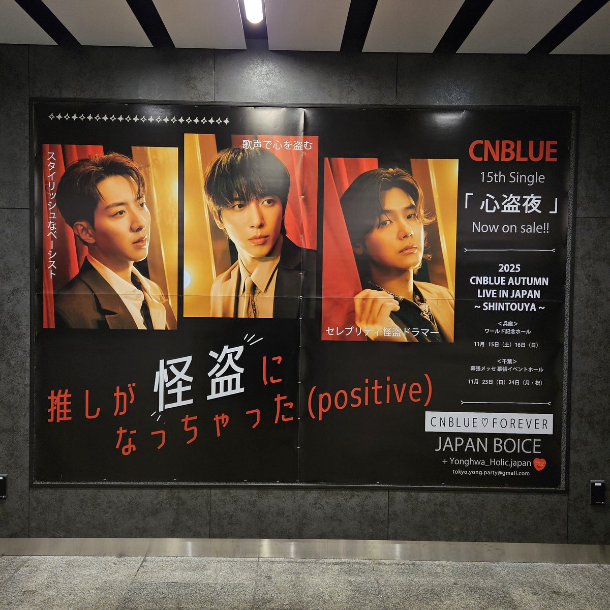 miyurain's tweet photo. 腰痛と股関節痛で
なかなかヘビーな状況
やったけど…
LIVE2日間堪能～(*¨*)
CNBLUEのLIVEで。
初めてMCの時着席(笑)
ティオする為に腰温存
してみましたぁ😂

そして！
これも見れました(⑉• •⑉)
方向音痴炸裂してたけど
たどり着けましたぁ(笑)
応援広告～(*･∀-)b
#CNBLUE心盗夜 https://t.co/fLbiSuZ8r4