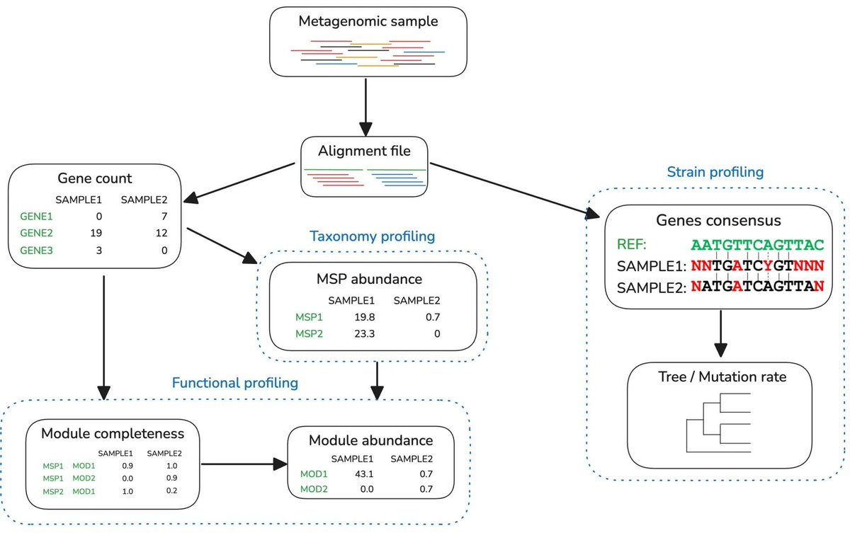 jsantoyo's tweet image. Accurate profiling of microbial communities for shotgun metagenomic sequencing with Meteor2. #MicrobialCommunities #Metagenomics #MicrobesProfiling #Microbiome
microbiomejournal.biomedcentral.com/articles/10.11…