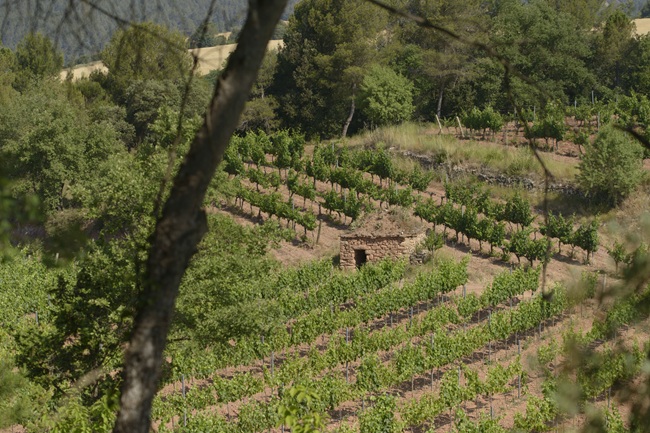 Manresa toma el relevo de Andorra para organizar la Jornada de la Piedra Seca, patrimonio cultural de la Pequeña <a href="/dopladebages/">DO Pla de Bages</a> , en 2027