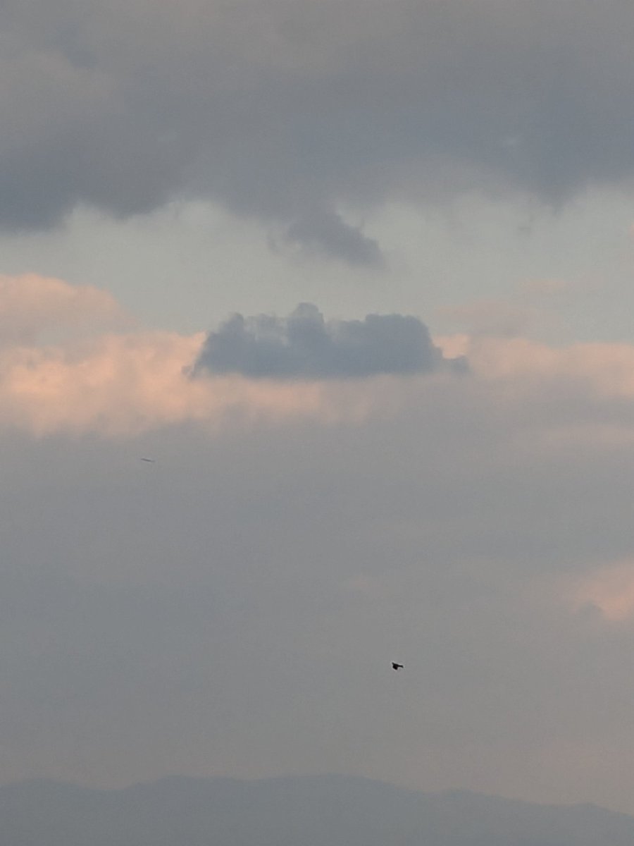天気は、晴れから曇り。青空を飛ぶトンビや雲の隙間から、天使の梯子。そして、光線を纏った様に見える太陽☀

　そして、トンビが飛んでいく先を見ると天空の城の様な絶景が見れました🪶✨