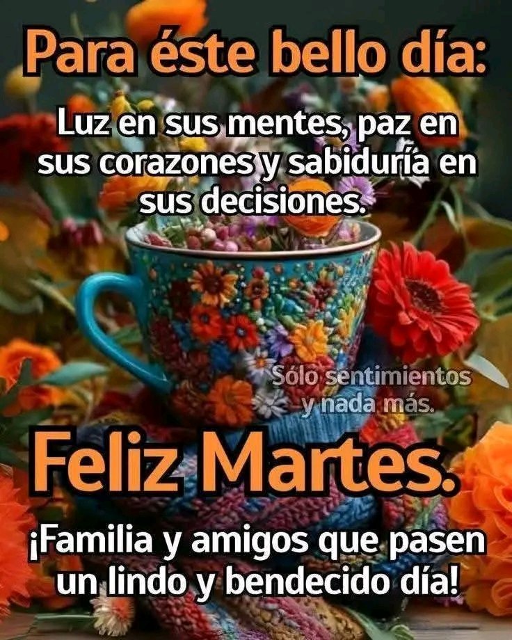 Pecoralt's tweet photo. ➡️ Buenos días decanos de #XLand 🫂 @maritzaror @tinaduque2015 @Mile06426923 @PiedadIriarte @leonor_ossa @JOHNEDUARDOP @Jorgecristanch @Erikaximena16 @yapaqui @MauricioGalin11 @Soraya_0518913 @doctorcruz2021A @TruqueVelezC @libby8515 @TsJessicaRubio @Mabeltran19 @RAUL429 https://t.co/anIKW3ahAb