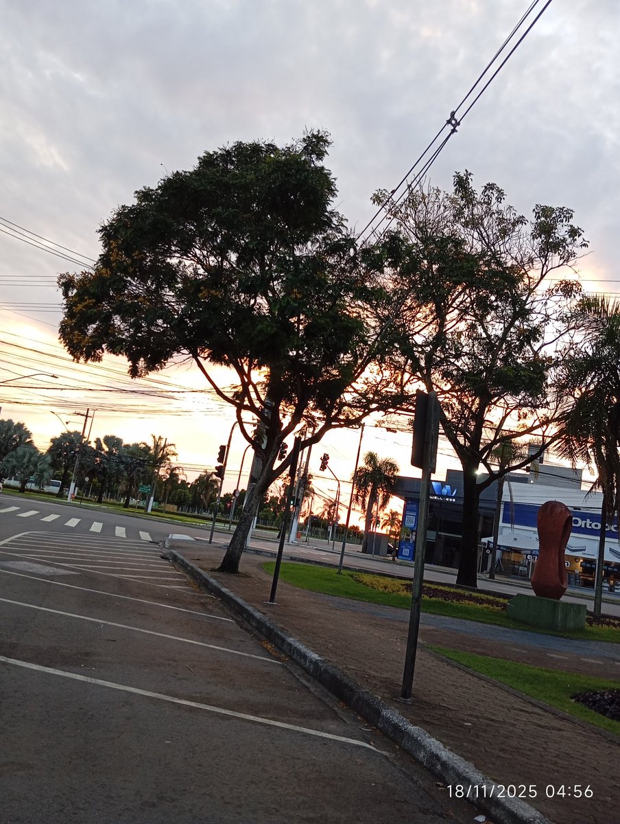 rustyssb's tweet image. Bom dia hoje cedo