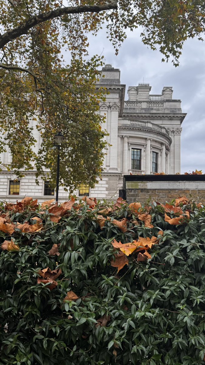 So_Angelic116's tweet photo. London is …. 🤎🤎🍂 https://t.co/ZXORsr5WWe