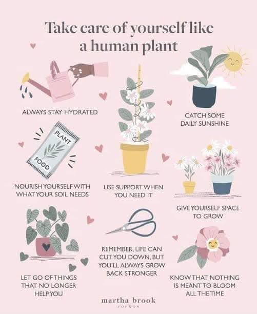 emysnativetrees's tweet image. Have something delightful today ❤️