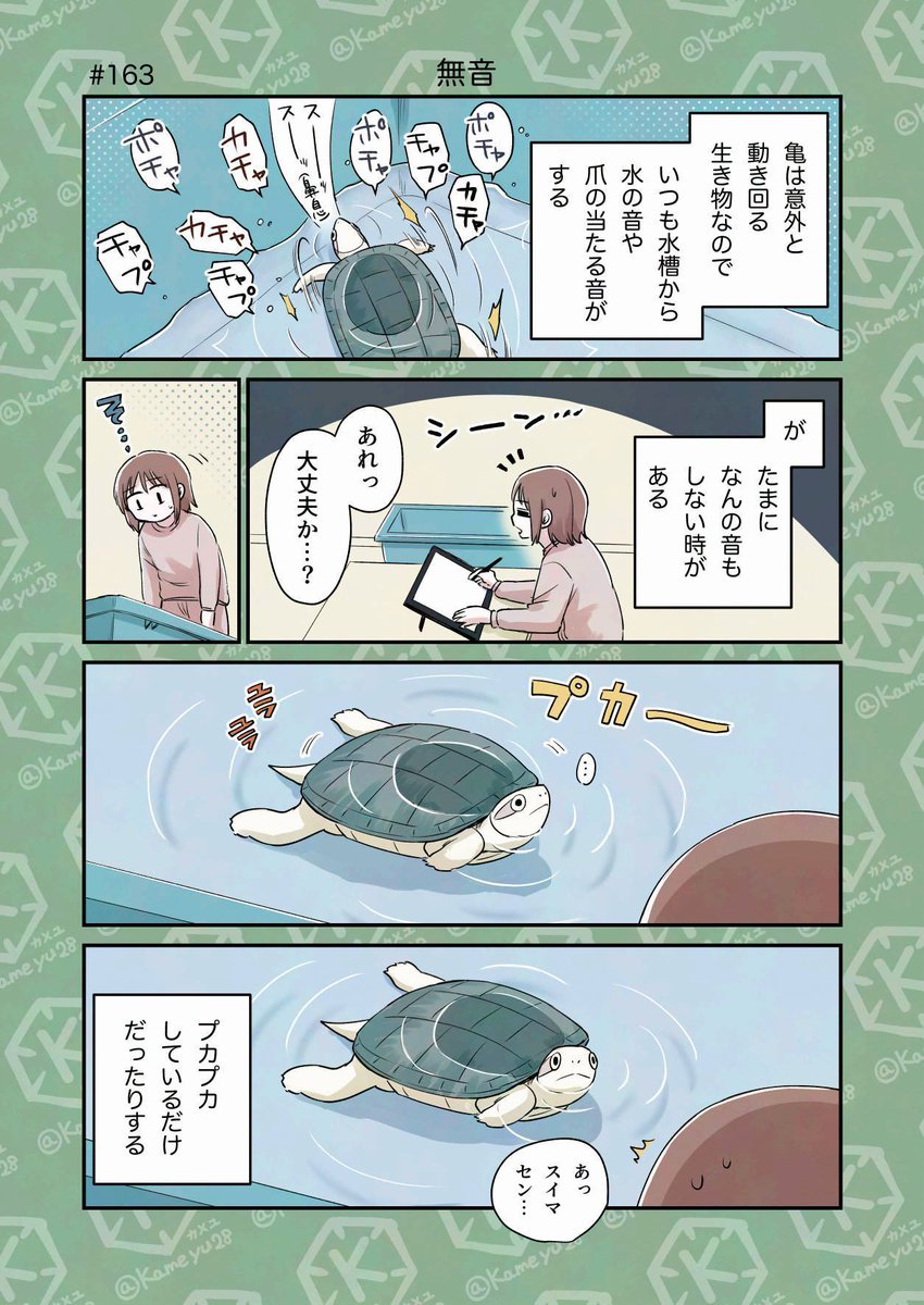 カメユ│亀と絵と漫画 (@kameyu28) / Posts / X