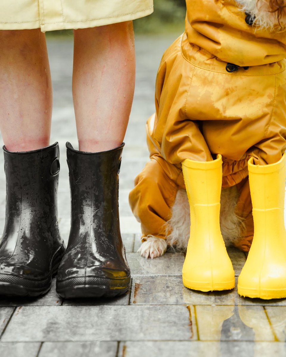 Yağmurlu günlerin vazgeçilmezi olacak yağmur botları Pazarama'da, link bio'da!🌧️💙