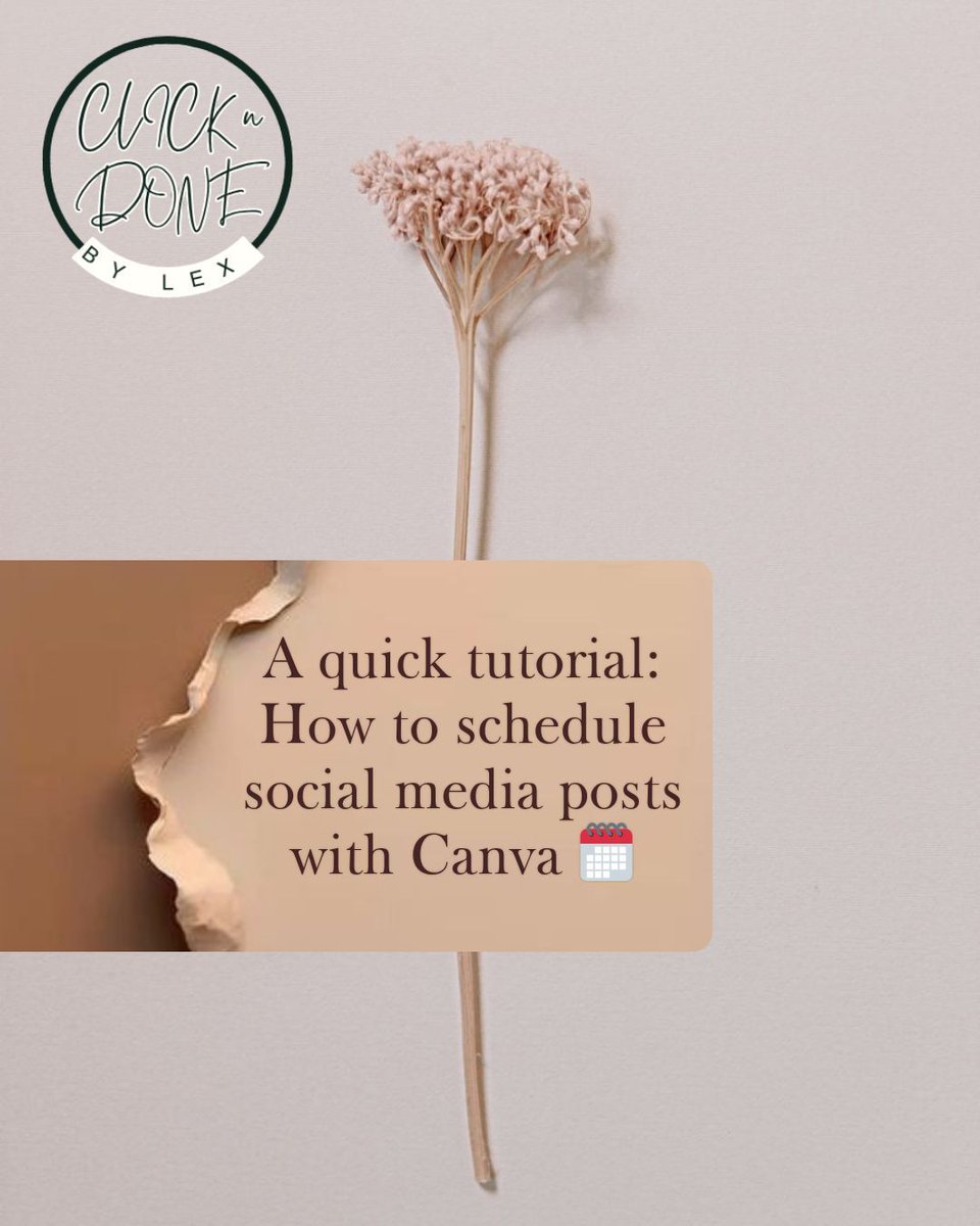 done_clickbylex's tweet photo. A quick tutorial: How to schedule social media posts with Canva 🗓️ 
#HowToVA #SocialMediaTips #VirtualAssistantWorkflow #SmoothOnboarding https://t.co/fiUj8iV8Vf