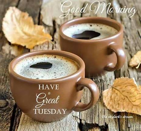 LoveKelly1982's tweet image. Good morning, friends. 🧡🍂