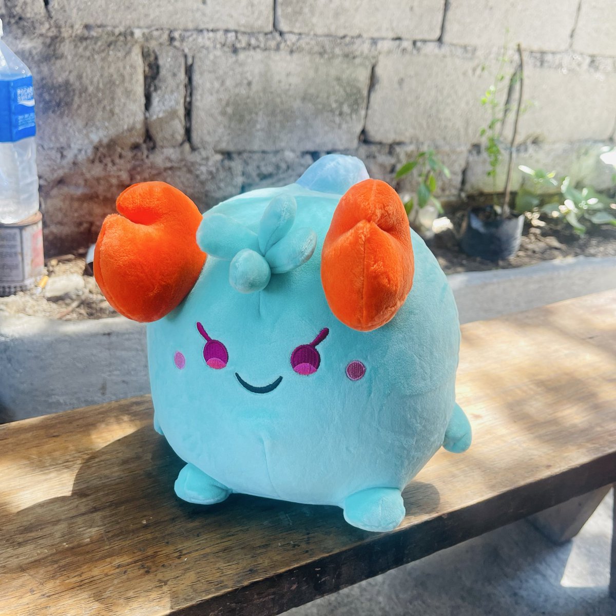 Pansy.Ron | KIND ✨ tweet media