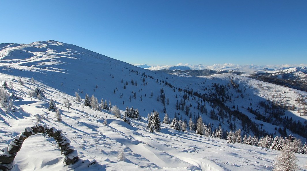 weathertoski tweet media