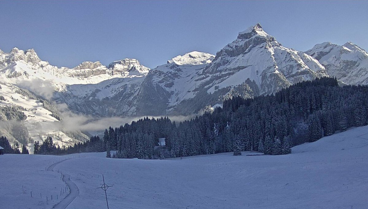 weathertoski tweet media